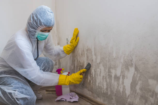 Best Mold Testing  in Fort Oglethorpe, GA