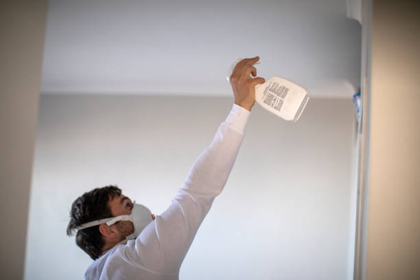 Best Water Damage Restoration  in Fort Oglethorpe, GA