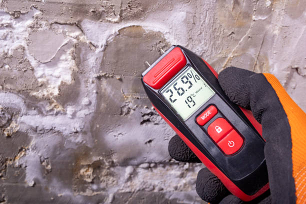 Best Black Mold Removal  in Fort Oglethorpe, GA