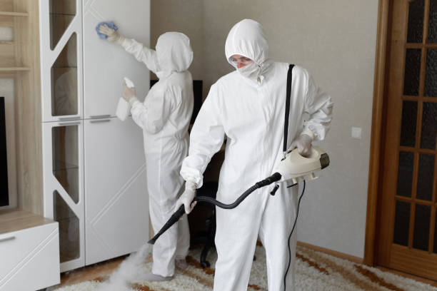 Mold Testing and Removal in Fort Oglethorpe, GA