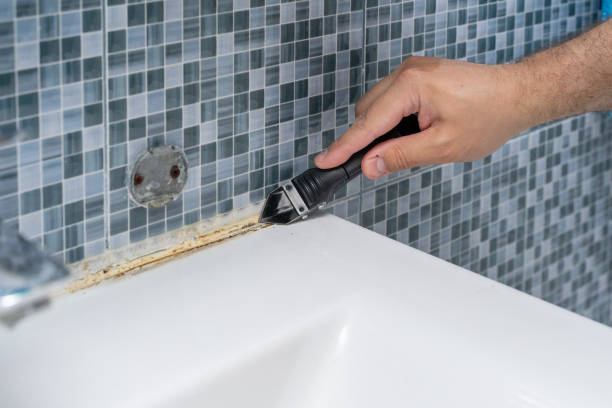 Best Fast Mold Removal  in Fort Oglethorpe, GA