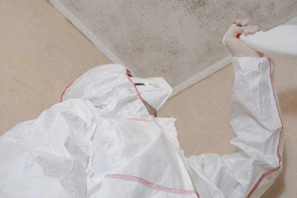 Best Attic Mold Removal  in Fort Oglethorpe, GA