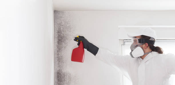 Water Damage Restoration in Fort Oglethorpe, GA