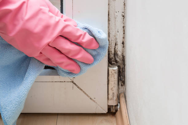 Best Crawl Space Mold Removal  in Fort Oglethorpe, GA